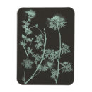 Search for study magnets Flowers