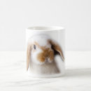 Search for lops mugs Rabbit