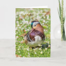 Search for duck birthday cards Bird