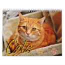 Search for portraits calendars Cats