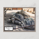 Search for zoos postcards Postcrossing