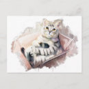 Search for apology postcards Cat