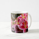 Search for stargazers mugs Stargazer lily