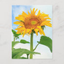 Search for community postcards Garden