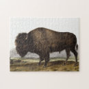 Search for bison puzzles Mammal