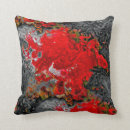 Search for gold and gray cushions Modern