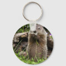 Search for hog key rings Woodland