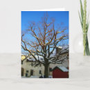Search for snow cards Original
