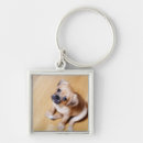 Search for animal crossing key rings Looking at camera