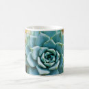 Search for succulents mugs Nature