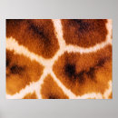 Search for giraffe pattern posters Animals