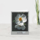 Search for prickly cards Nature