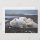 Search for baby animal thank you cards Autumn