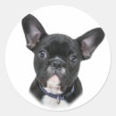 Search for french bulldog love stickers Animals