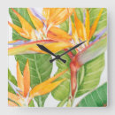 Search for green leaf clocks Exotic