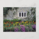 Search for stone window postcards Colourful