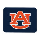 Search for university magnets Aubie the tiger
