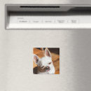 Search for tongue magnets Funny