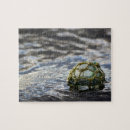 Search for beach glass puzzles Ie