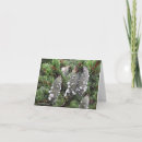 Search for spruce christmas cards Winter