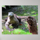 Search for charity posters Nature