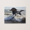 Search for running puzzles Beach