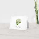 Search for white bloom Green