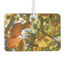 Search for leaf peeping Fall