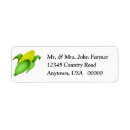 Search for corn labels Corn on the cob