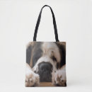 Search for bernards accessories Cute