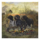 Search for boars posters Wild