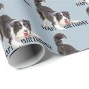 Search for collie wrapping paper Birthday