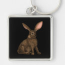 Search for cute bunny key rings Brown