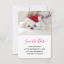 Search for dog photo save the dates Puppy