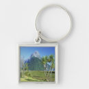 Search for peak key rings National park