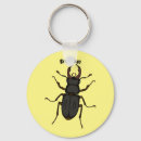 Search for stags key rings Insect