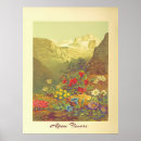 Search for alpine flower posters Vintage