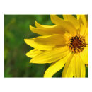 Search for pollen posters Bloom