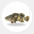 Search for scuba gear stickers Marine life