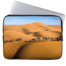 Search for desert camel cases Nature