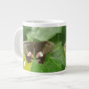 Search for tropical butterfly mugs Insects