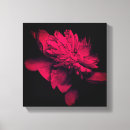 Search for peony canvas prints Flower