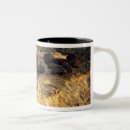 Search for reef mugs Scenic
