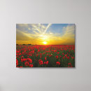 Search for red poppy canvas prints Sky
