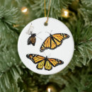 Search for caterpillar christmas tree decorations Monarch