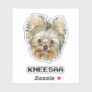 Search for duo stickers Pet