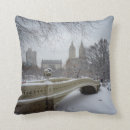 Search for central park Winter