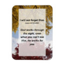 Search for forget magnets Christian