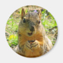 Search for squirrel lover magnets Cute