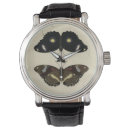 Search for butterfly watches Insect